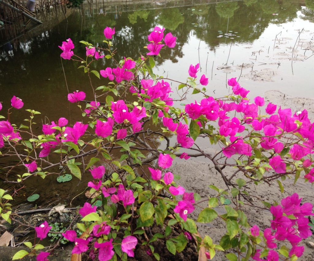 psychologue-gaudin.fr