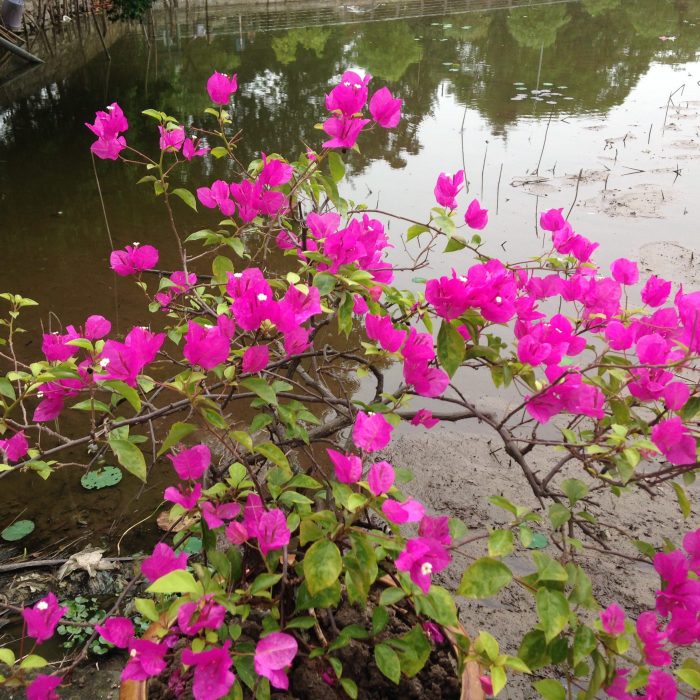 psychologue-gaudin.fr